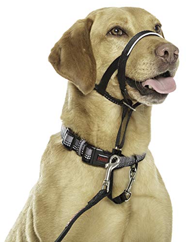 Halti Headcollar