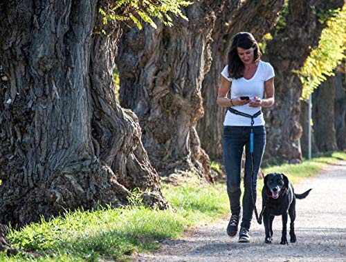 Happilax Correa Perro Manos Libres Extensible Ideal para Correr, Bicicleta, Deporte, Jogging