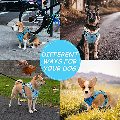 HAPPY HACHI Arnes Perro Chalecos Reflectantes Perros Pequeño Mediano Grande Ligero con Mango Nylon para Caminar Entrenamiento(XS Azul)