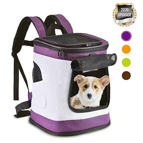 HAPPY HACHI Mochila Plegable para Perros Gatos Transporte para Perro Bolso Transportín Viaje con Correa Relleno Ajustable Camiseta Transpirable Morado