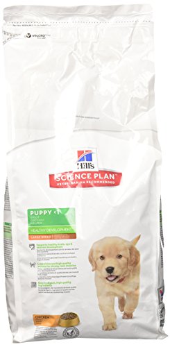 Hills Puppy Raza Grande Pollo 2.5 kg XXX