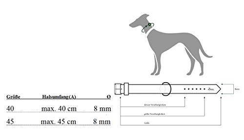 HUNTER 65935 List - Collar para Perros, Cuerda y mosquetón de latón, Marino, 45/8, Color Burdeos