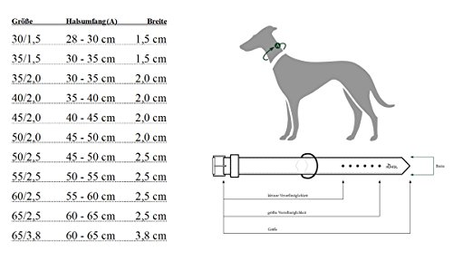 HUNTER Vario Plus Neopreno Cuello