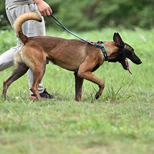 Hyhug Cuello de Perro Mediano para niños y niñas Martingale, Mediano y antifuga de Alta Resistencia: Entrenamiento para Caminar Uso Diario (Medio M, Verde Oscuro)