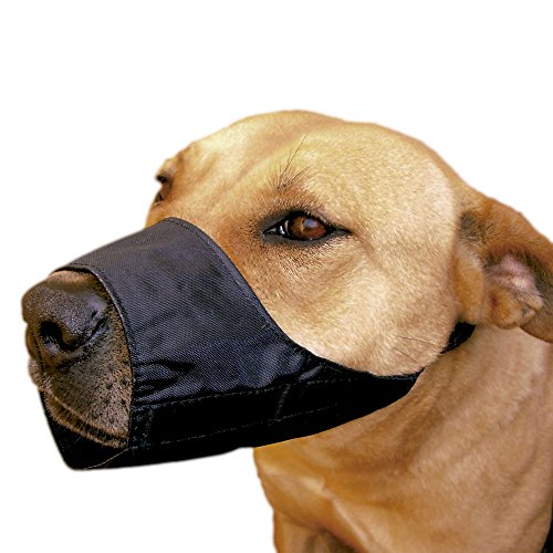 ICA DB931 Bozal de Nylon Ajustable para Las Razas Terrier, Caniche, Negro