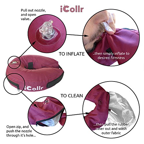 iCollr - El Collar Inflable - Collar Protector para Perros y Gatos en la Recuperación Postoperatoria