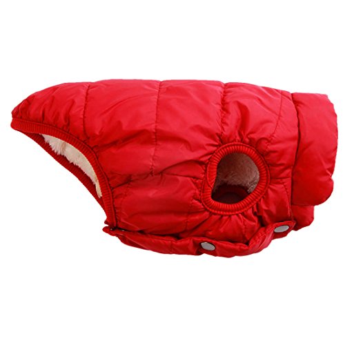 JoyDaog - Chaqueta de perro con forro polar de 2 capas para invierno y clima frío, extra suave, a prueba de viento, para cachorro y perros pequeños