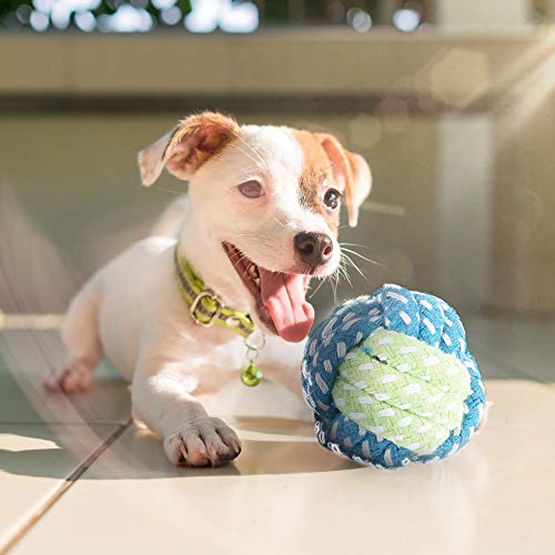 Juego de 15 Juguetes para Perros y Cachorros - Cuerdas, Pelotas, Juguetes para Masticar, etc - Seguro, Duradero y No Tóxico, También Ayuda a Combatir la Acumulación de Placa