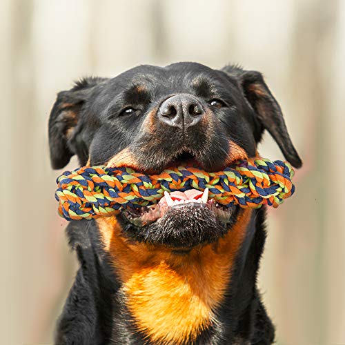 Juego de 15 Juguetes para Perros y Cachorros - Cuerdas, Pelotas, Juguetes para Masticar, etc - Seguro, Duradero y No Tóxico, También Ayuda a Combatir la Acumulación de Placa