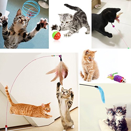 Juguetes para gatos, Legendog 10 piezas Juguete interactivo para gatos con plumas para Kitty