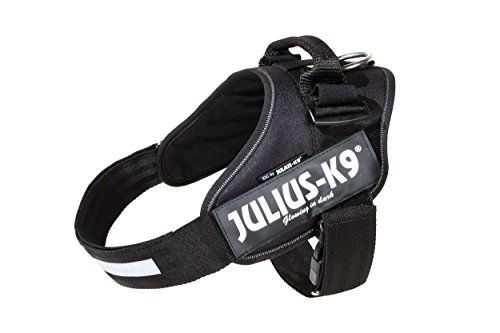 Julius-K9 16IDC-P2+ IDC Power Harness con la Cerradura de Seguridad, Tamaño 2, Negro