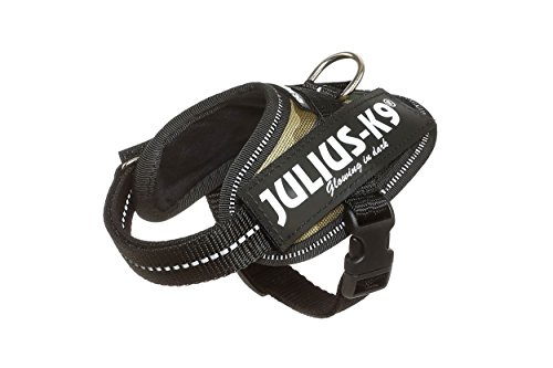 Julius-K9 16IDC - Power Harness