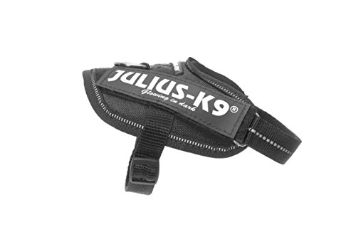 Julius-K9 16IDC - Power Harness