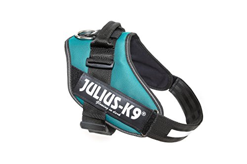 Julius-K9 16IDC - Power Harness