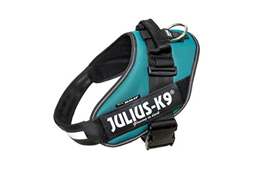 Julius-K9 16IDC - Power Harness