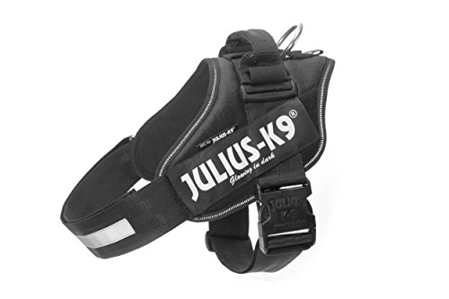 Julius-K9 16IDC - Power Harness