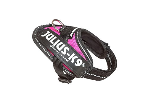 Julius-K9 16IDC - Power Harness