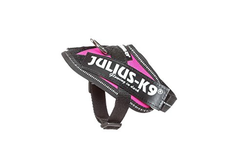 Julius-K9 16IDC - Power Harness