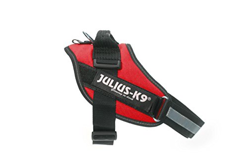 Julius-K9 16IDC - Power Harness