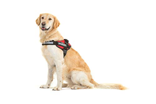 Julius-K9 16IDC - Power Harness