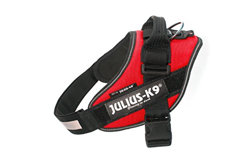 Julius-K9 16IDC - Power Harness