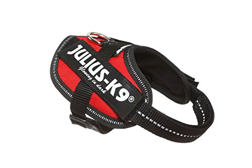 Julius-K9 16IDC - Power Harness