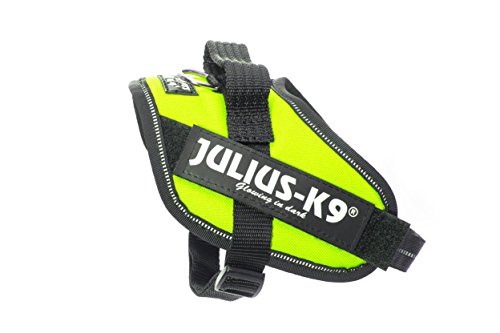 Julius-K9 16IDC - Power Harness