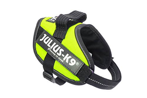 Julius-K9 16IDC - Power Harness