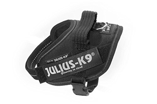 Julius-K9 16IDC - Power Harness