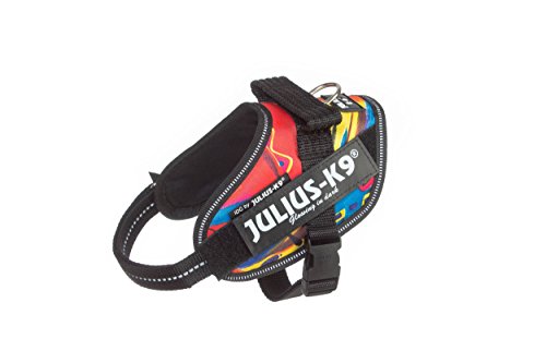 Julius-K9 16IDC - Power Harness