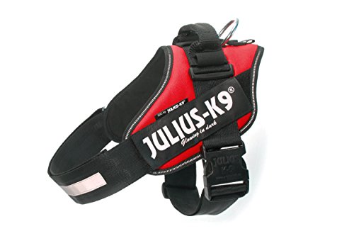 Julius-K9 16IDC - Power Harness