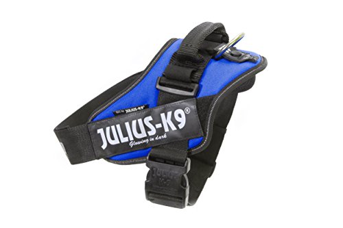 Julius-K9 16IDC - Power Harness