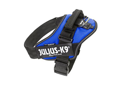 Julius-K9 16IDC - Power Harness