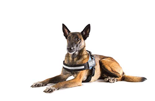 Julius-K9 16IDC - Power Harness