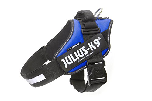 Julius-K9 16IDC - Power Harness