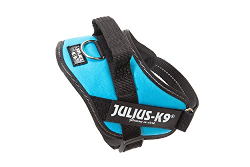 Julius-K9 16IDC - Power Harness