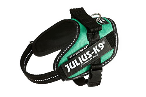 Julius-K9 16IDC - Power Harness