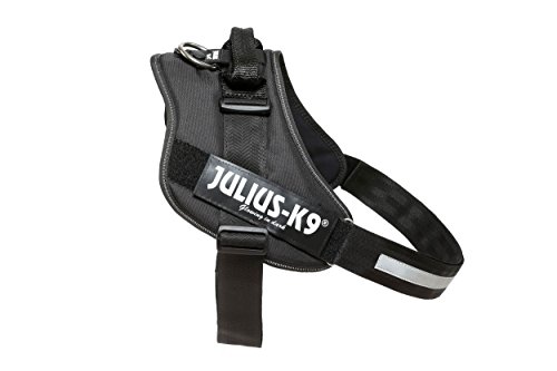 Julius-K9 16IDC - Power Harness