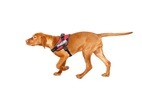 Julius-K9 16IDC - Power Harness