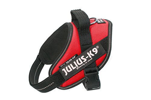 Julius-K9 16IDC - Power Harness