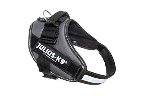 Julius-K9 16IDC - Power Harness