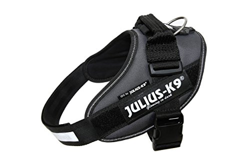 Julius-K9 16IDC - Power Harness