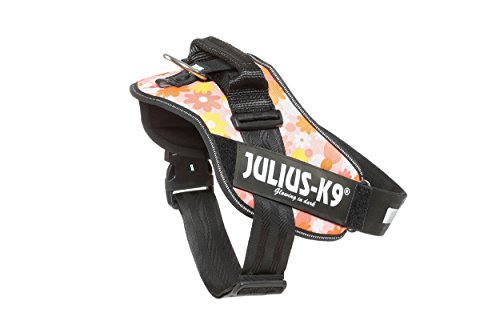 Julius-K9 16IDC - Power Harness