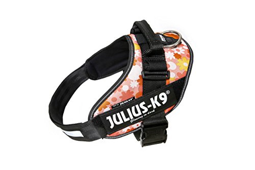 Julius-K9 16IDC - Power Harness