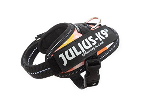 Julius-K9 16IDC - Power Harness