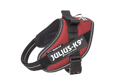 Julius-K9 16IDC - Power Harness