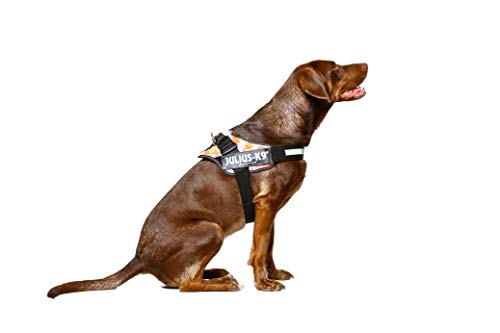 Julius-K9 16IDC - Power Harness