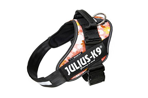 Julius-K9 16IDC - Power Harness