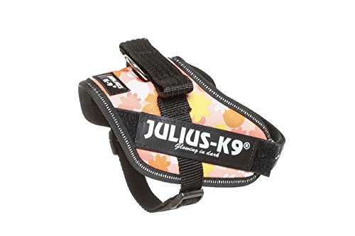 Julius-K9 16IDC - Power Harness