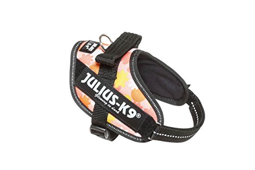 Julius-K9 16IDC - Power Harness